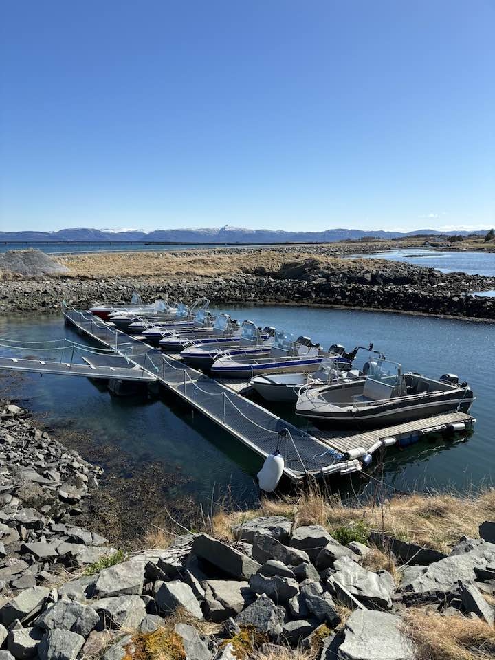 516521575 10160795358840764 33970803085900156 n