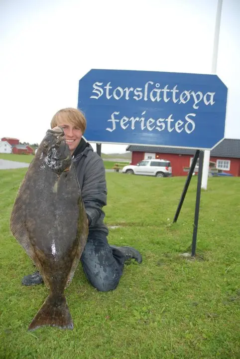 555514297 25082641951332761 1310213863418337096 n