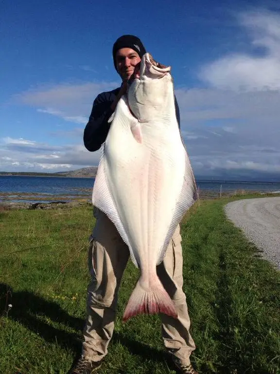 555916135 25119460757650880 4844153425426079770 n