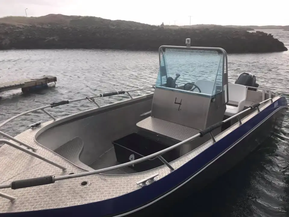 56561440 2447335235290088 1098561585305092096 n