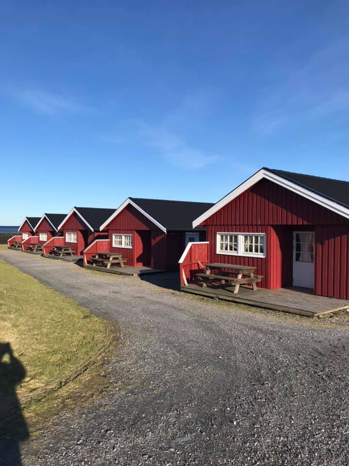 56842823 2447335191956759 8866797765972197376 n (1)