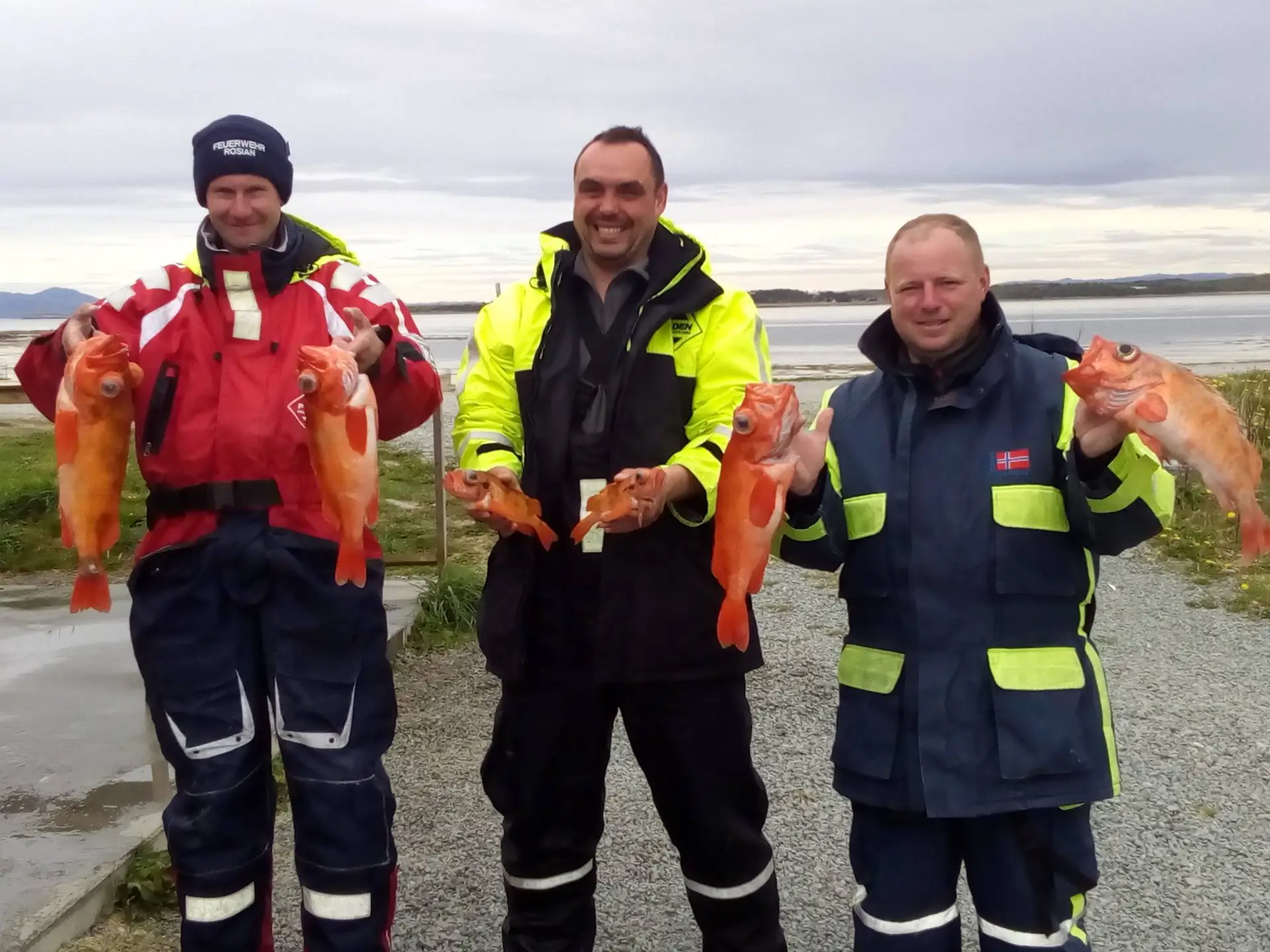 645121762 26540309985565943 4521399579553040346 n