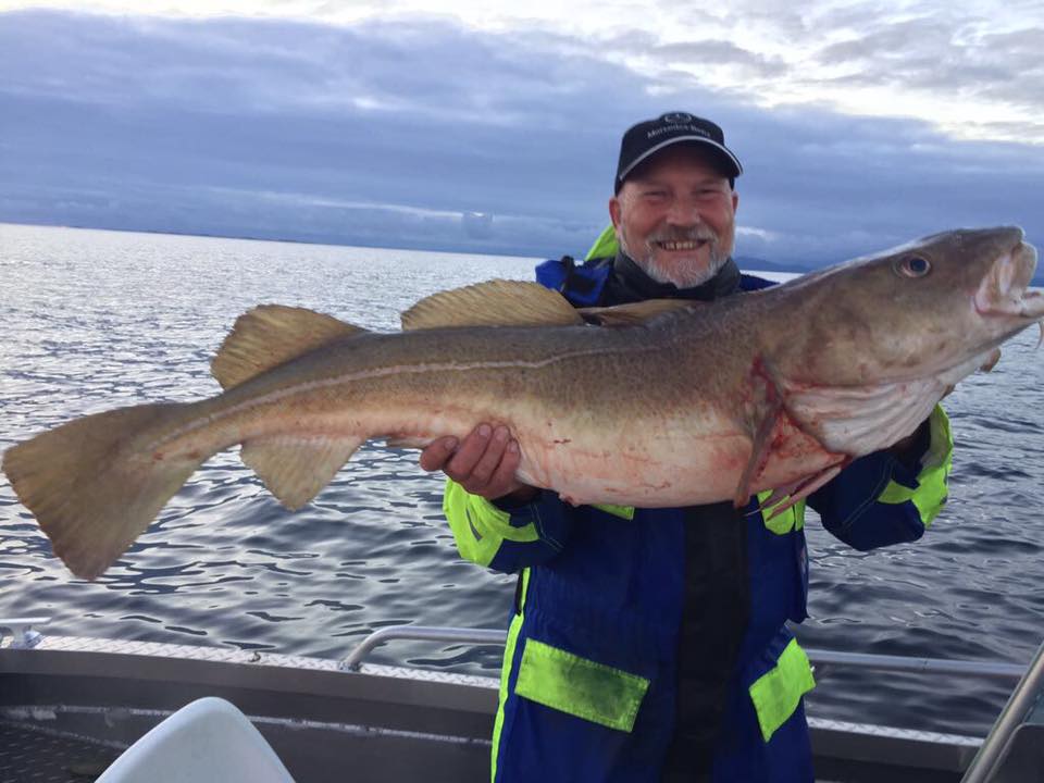 Bilder 646777285 26575100458753562 2294115071018899636 n