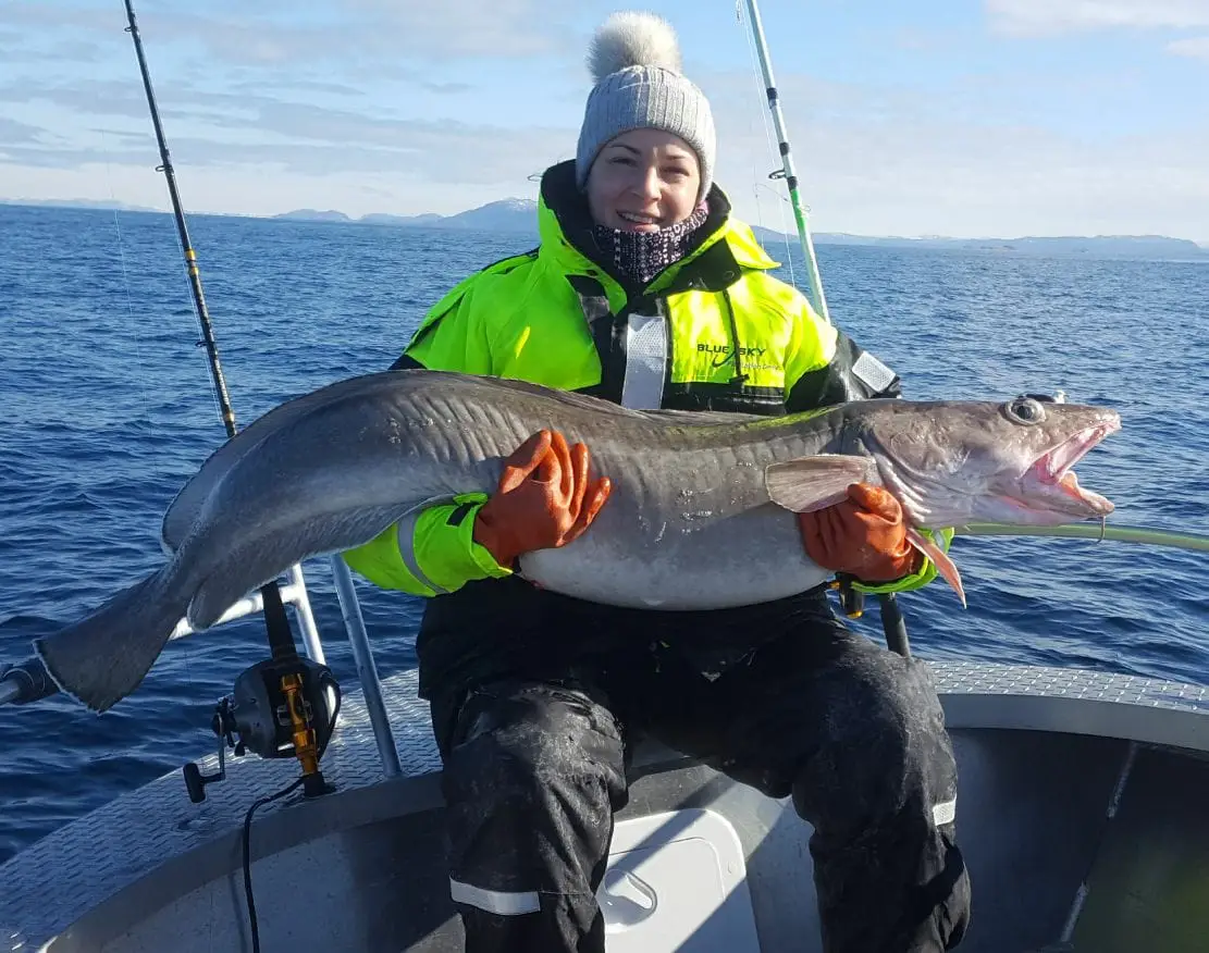 648670916 26605362685727339 4605180314857017106 n