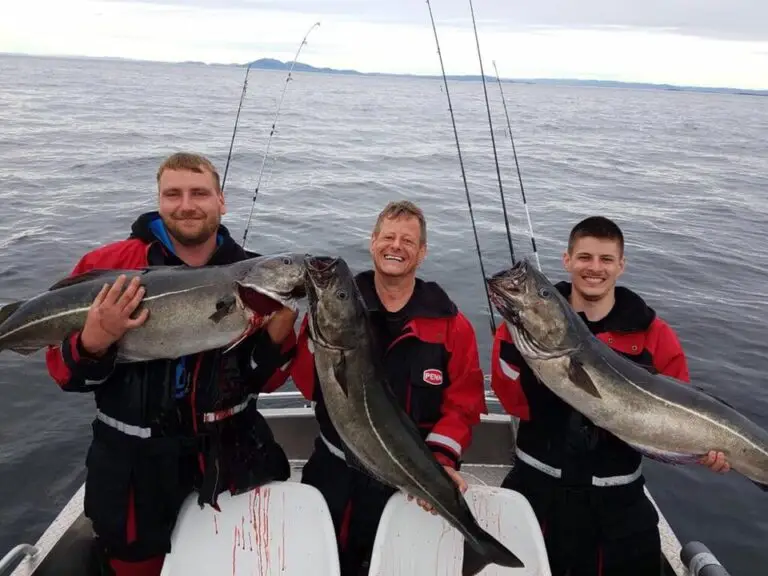 648828449 26575100635420211 4248456429536851459 n